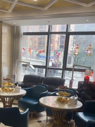 -碧莲盛·不剃发植发