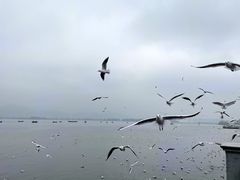 -昆明洲际酒店