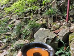 -严子陵钓台(富春江小三峡)