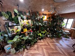 -Rabbit Cafe私房西餐甜点咖啡(栖霞路店)