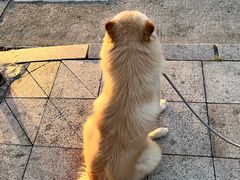 -福田红树林生态公园