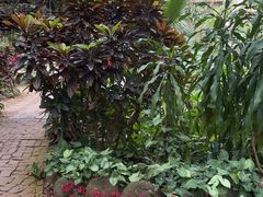-海南热带野生动植物园