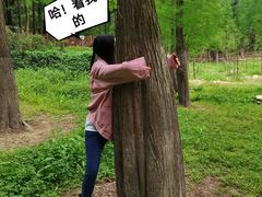 -广州市帽峰山景区