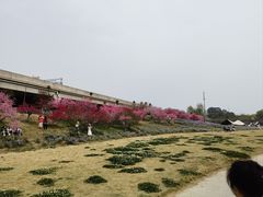 -秀丽东方