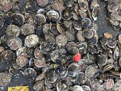 -王四营海鲜市场