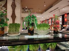 大堂-芭菲盛宴·环球美食(北城国际店)