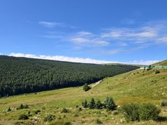 -芦芽山旅游度假区