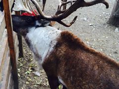 -赛汗塔拉风情园