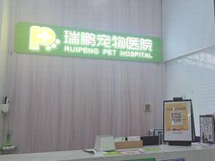 -瑞鹏宠物医院·微创内窥镜·骨外科·牙科(翠竹分院)
