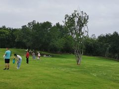 -盘龙城遗址博物院