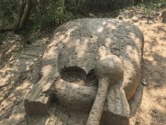 -上海佘山国家森林公园西佘山园