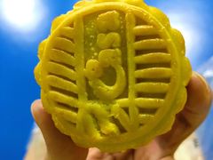 -可莎蜜兒(金城店)