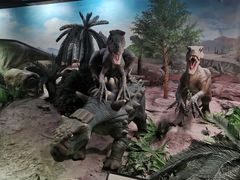 -国家自然博物馆