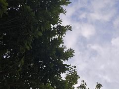 -厦门园林博览苑