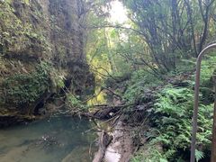 -怀托摩萤火虫洞