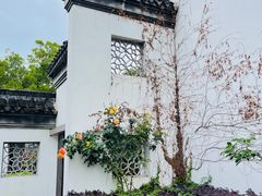 -苏州东山雕花楼宾馆