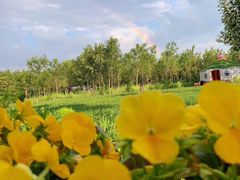 -野鸭湖国家湿地公园