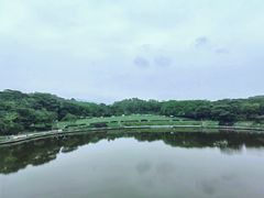 -东莞植物园