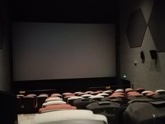 -星河寰宇IMAX影城(星河WORLD·COCO Park店)