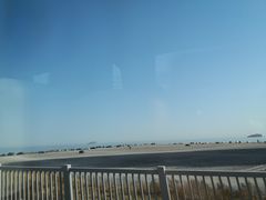 -星海湾跨海大桥