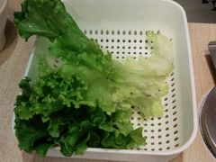 青爽生菜-新石器烤肉(千灯大润发店)