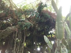 -龙达温泉生态城