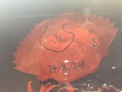 -龙海鲜螃蟹王(宏茂桥店)