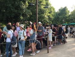 -翱翔飞越地平线