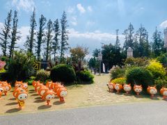 -上海长兴岛郊野公园