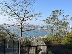 -太平山顶