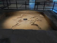 -洛阳周王城天子驾六博物馆