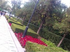 iphone_upload_pic-迎泽公园