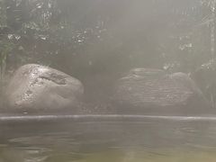 -青城道汤池