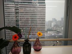 -马泷齿科·成都锦江置略马泷口腔门诊部(IFS国金中心店)