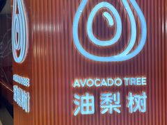 -油梨树 AVOCADO TREE(亮马桥店)