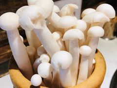 -蕃茄述·好汤自然来(江汉路店)