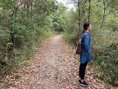 -青龙山国家森林公园