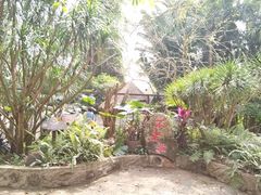 -海南热带野生动植物园