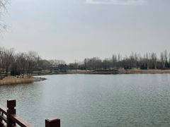 -北坞公园