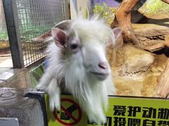 -苏州海洋馆