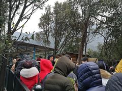 -梦幻奥陶纪景区