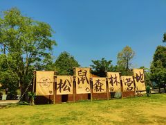 -成都松鼠部落
