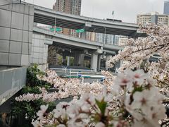 -南浦大桥长途旅游客运站