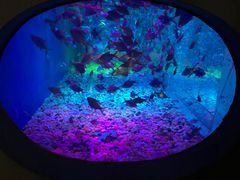 -成都浩海立方海洋公园