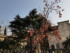 -亢龙太子酒轩·花园店