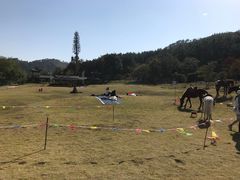 -黄陂区野村谷景区