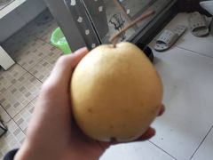 -红星农博物流中心