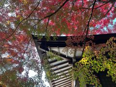 -三千院