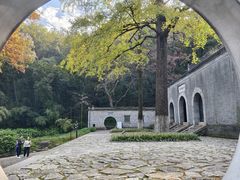 -镇江市南山风景名胜区竹林景区