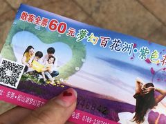 -松山湖梦幻百花洲
